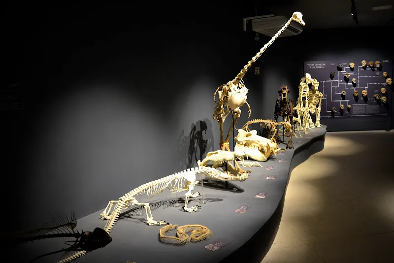Museu de Ciências da Vida - UFES